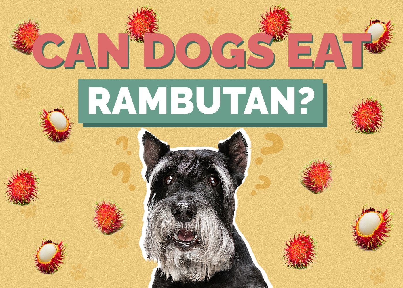 Can Dogs Eat Rambutan