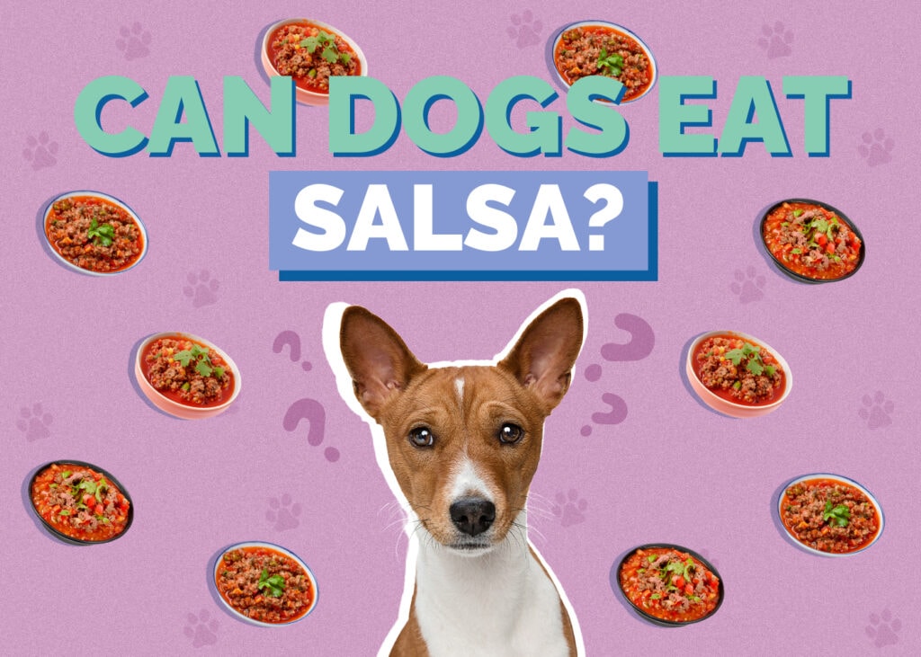 Can Dogs Eat Salsa