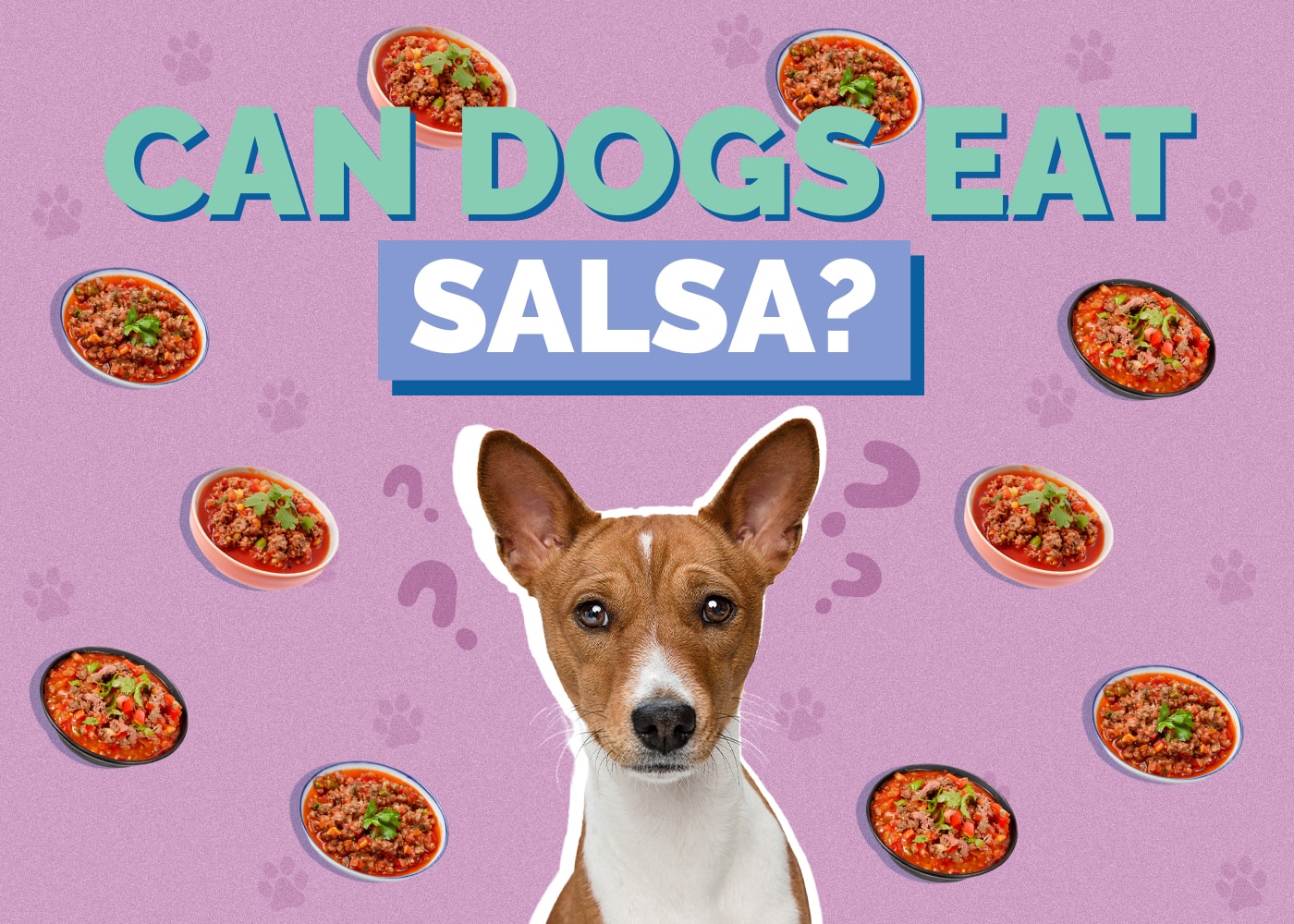 Can Dogs Eat Salsa