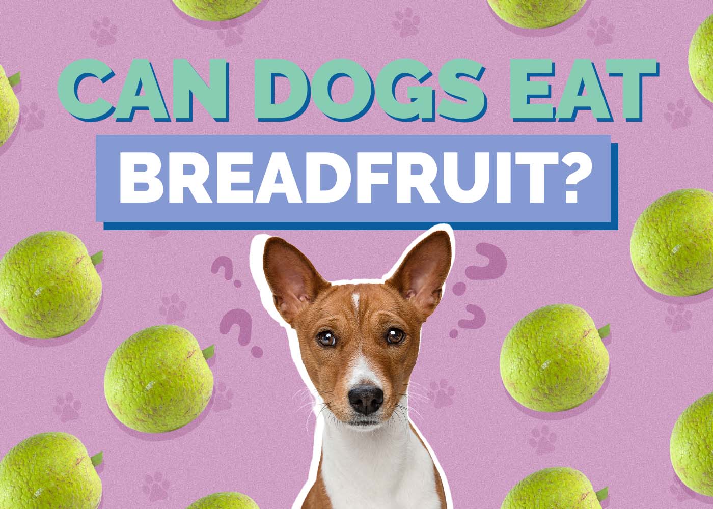 Hepper_Can Dogs Eat_Breadfruit