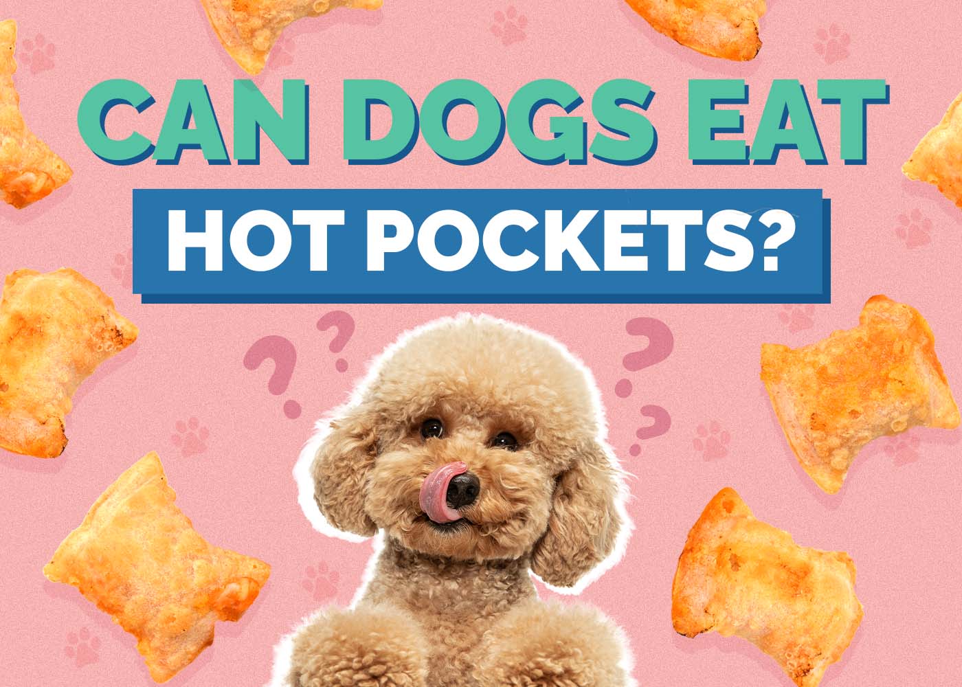 Hepper_Can Dogs Eat_Hot Pockets