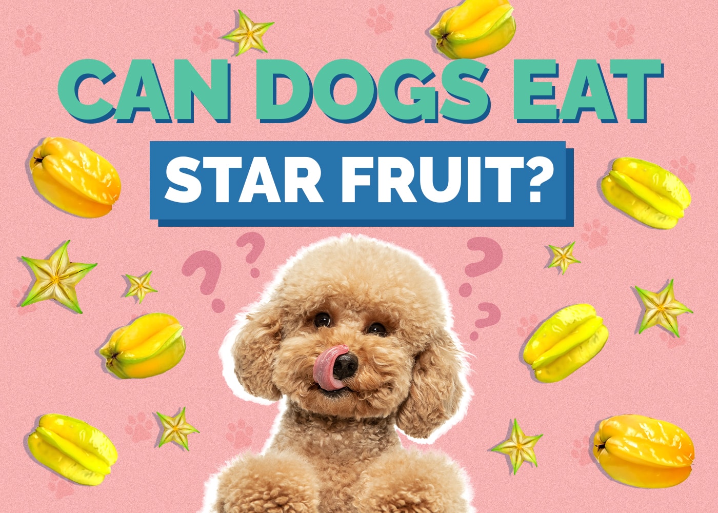 Can Dogs Eat Star Fruit