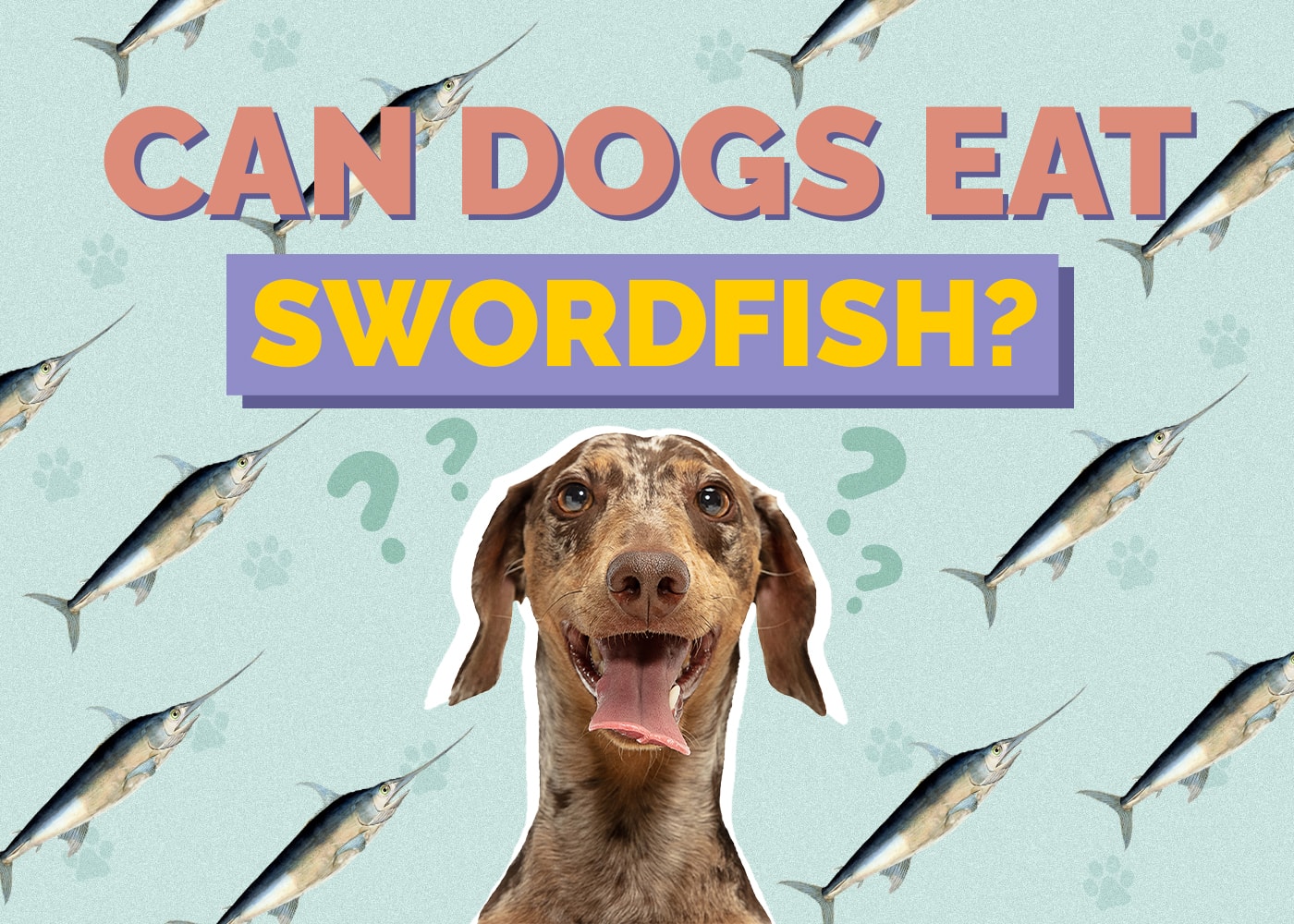 Can Dogs Eat Swordfish