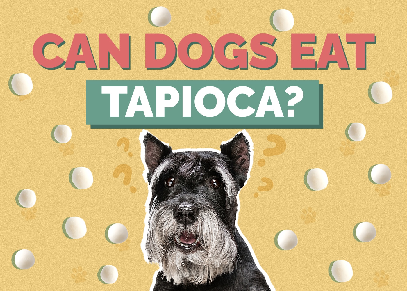 Can Dogs Eat Tapioca