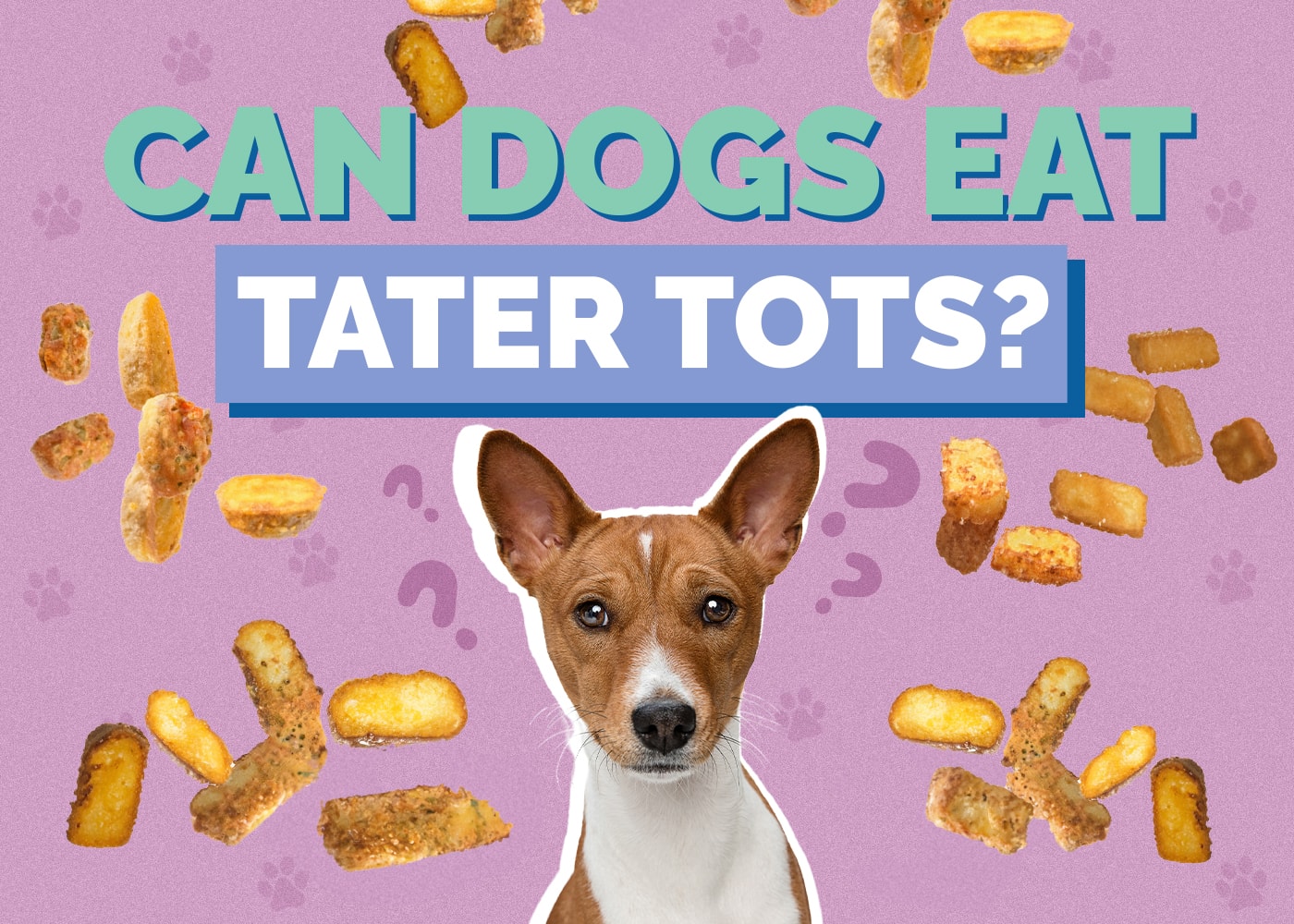 Can Dogs Eat Tater Tots