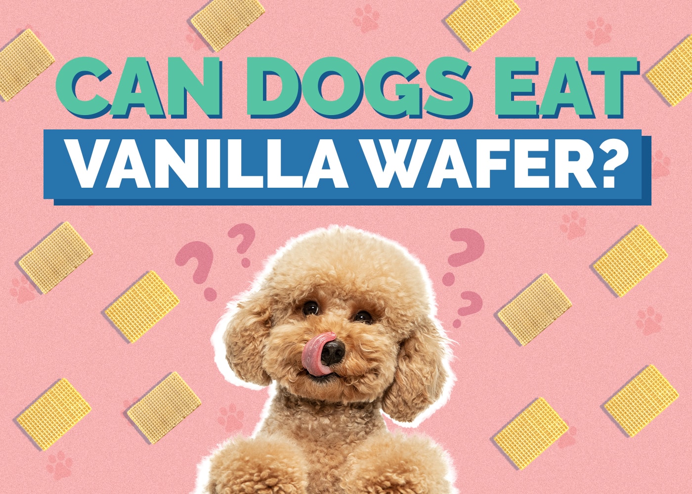 Can Dogs Eat Vanilla Wafers