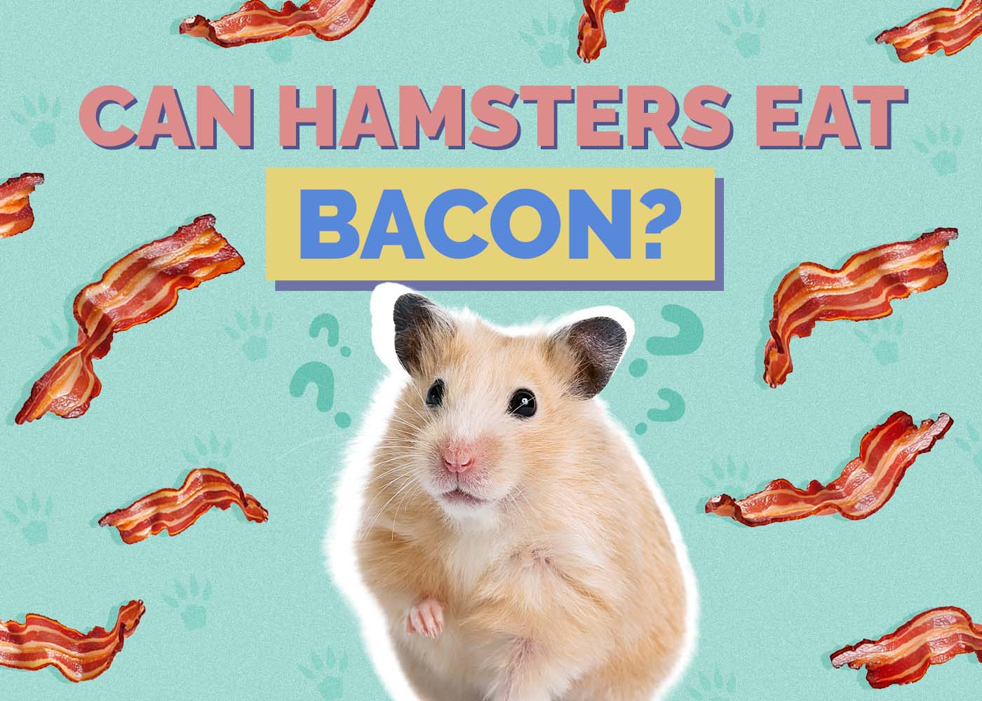 Hepper_Can Hamster Eat_Bacon