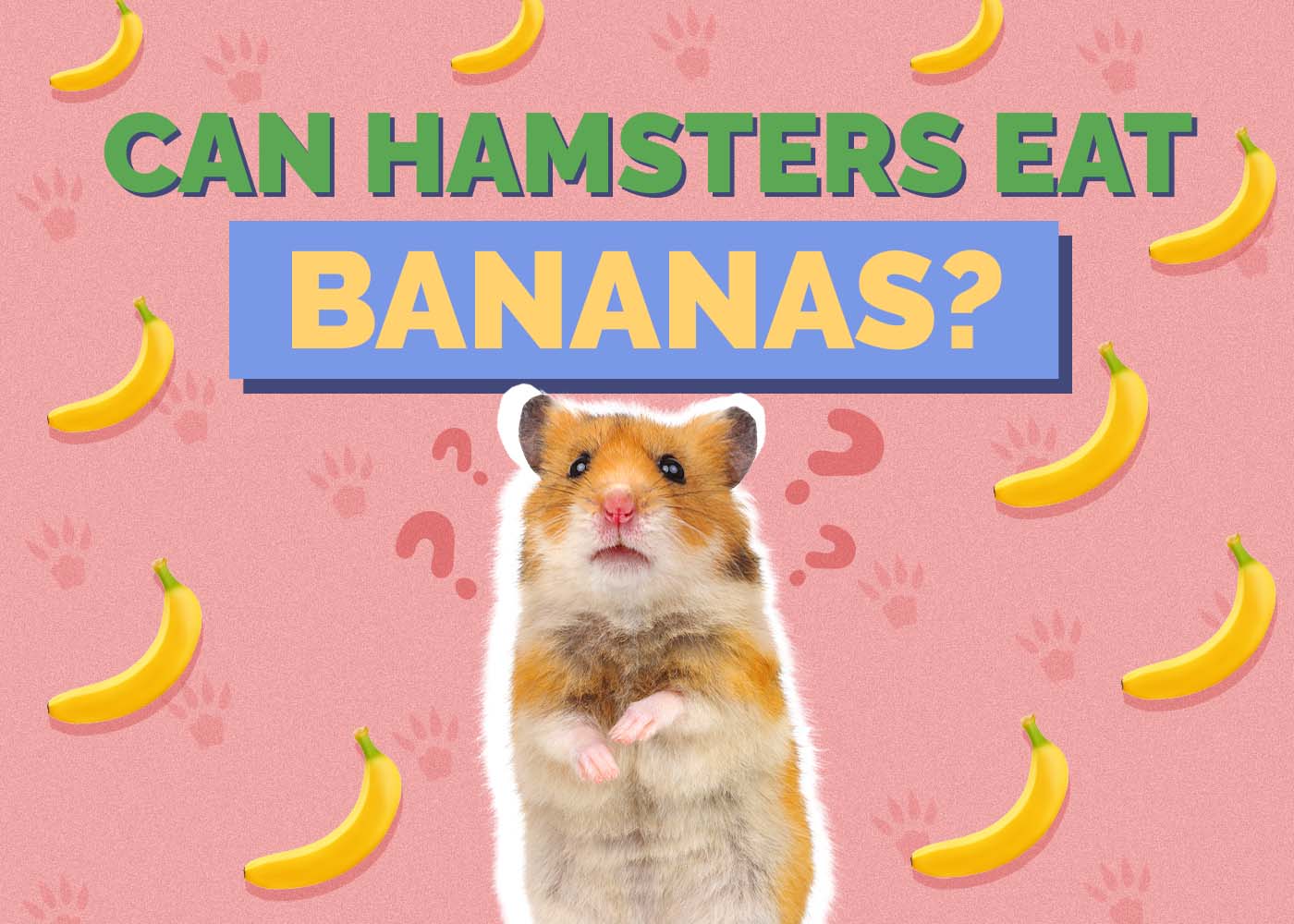Hepper_Can Hamster Eat_Bananas