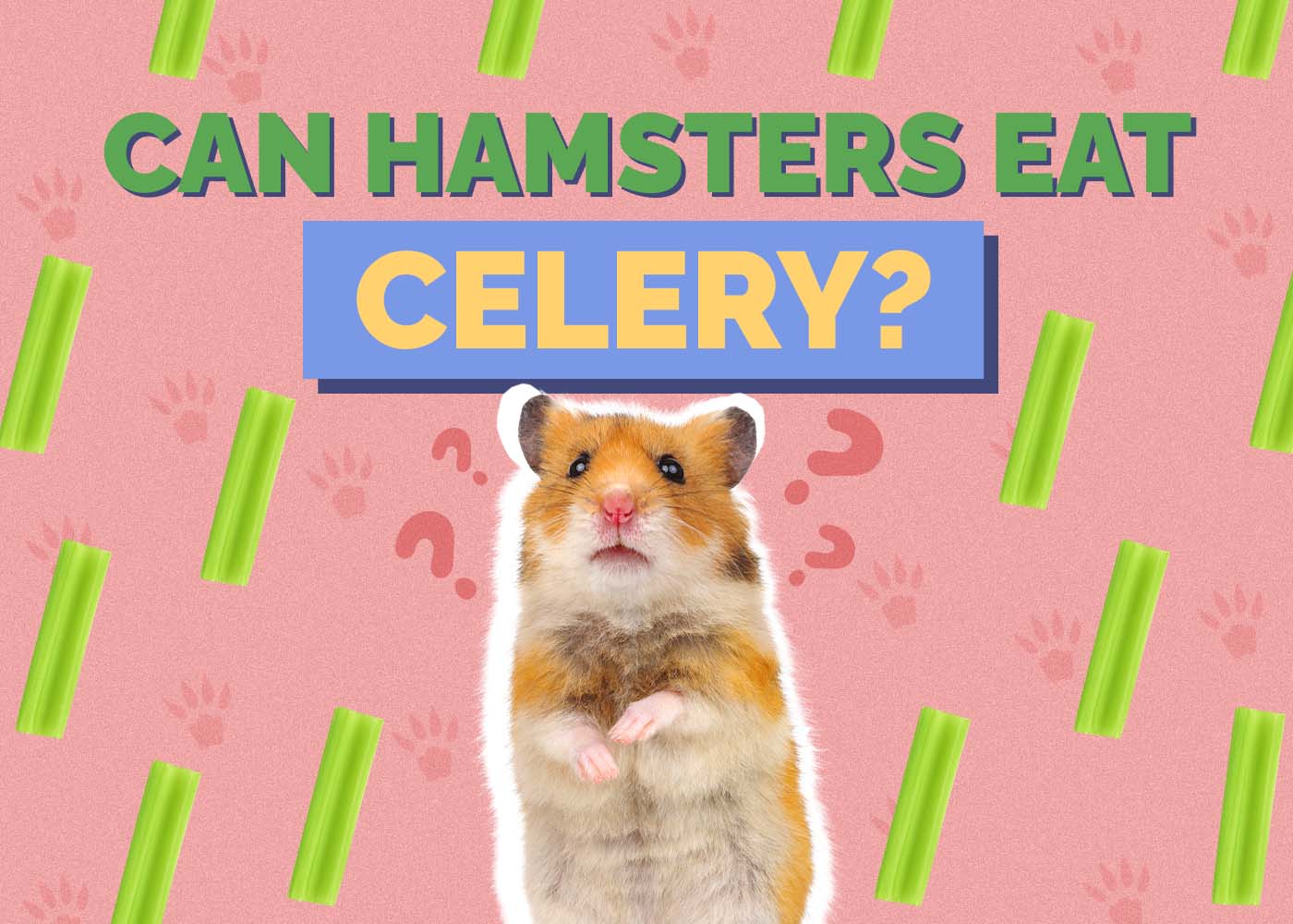 Hepper_Can Hamster Eat_Celery