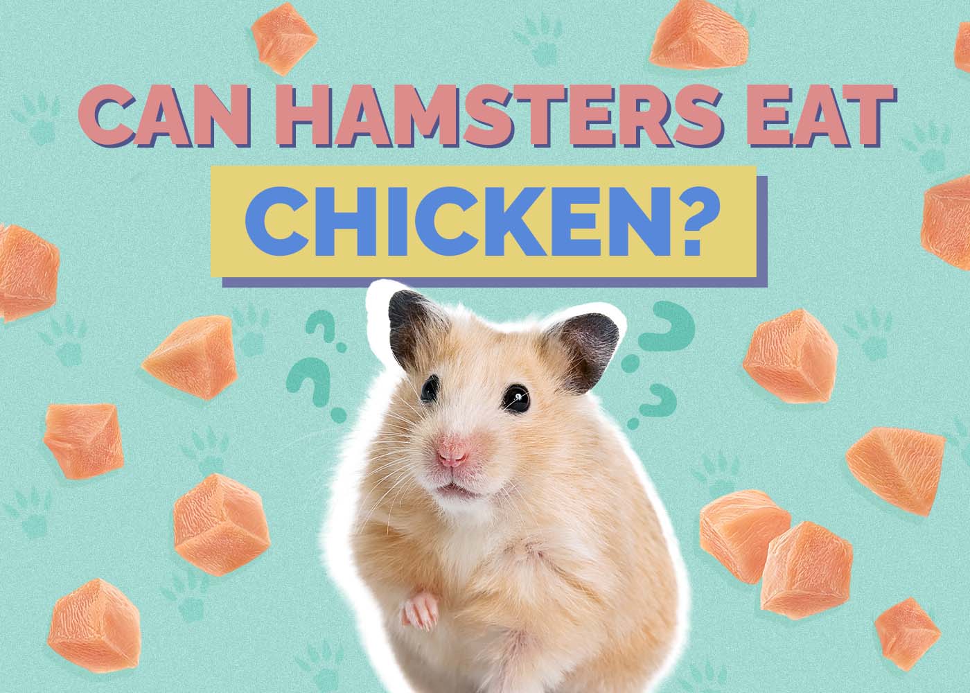 Hepper_Can Hamster Eat_Chicken