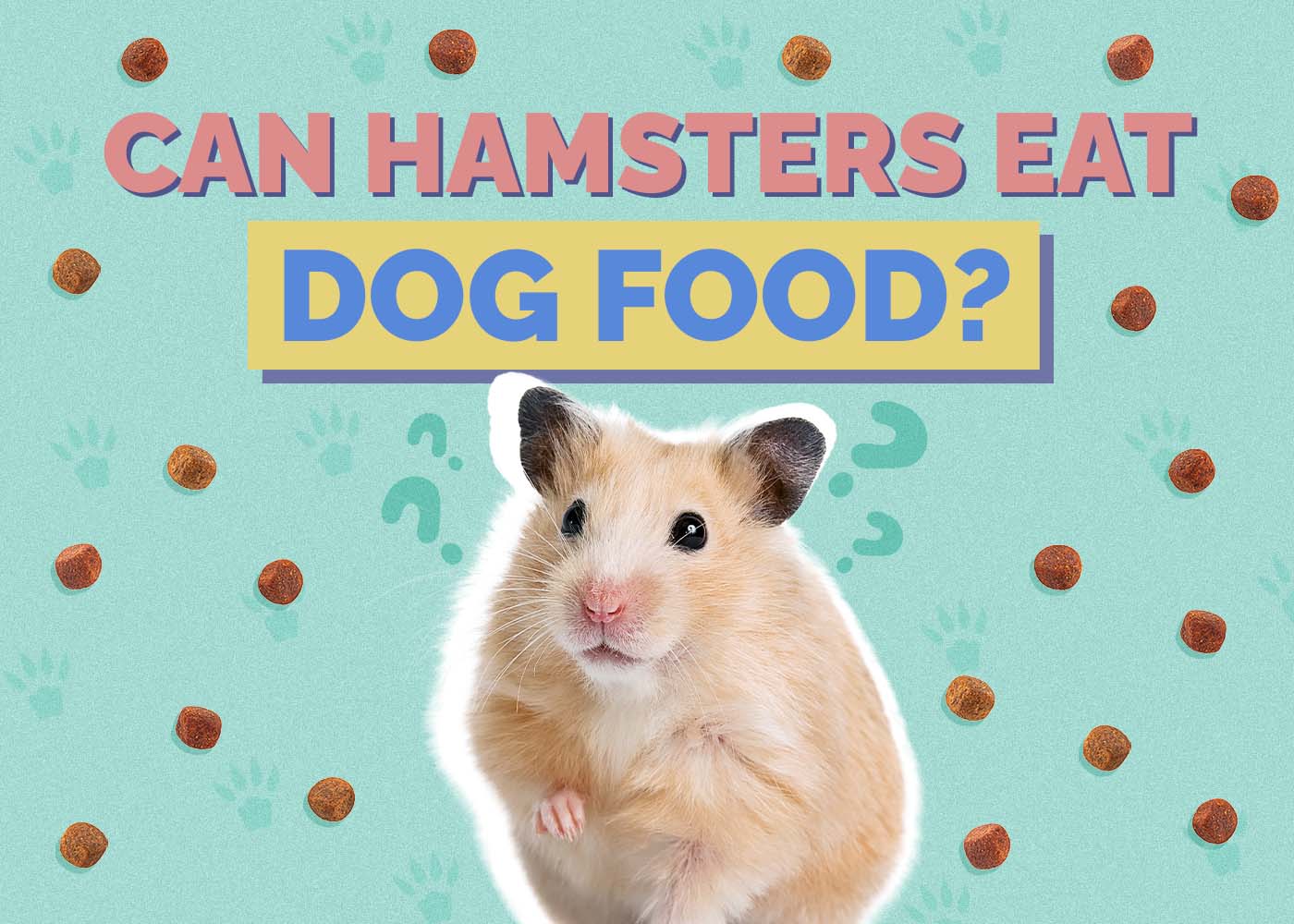 Hepper_Can Hamster Eat_Dog Food