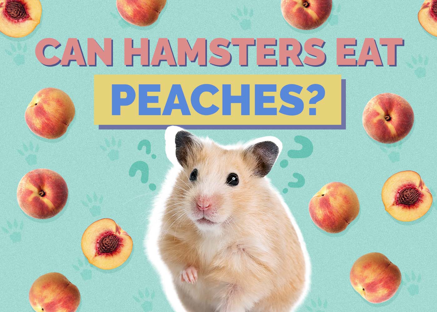Hepper_Can Hamster Eat_Peaches