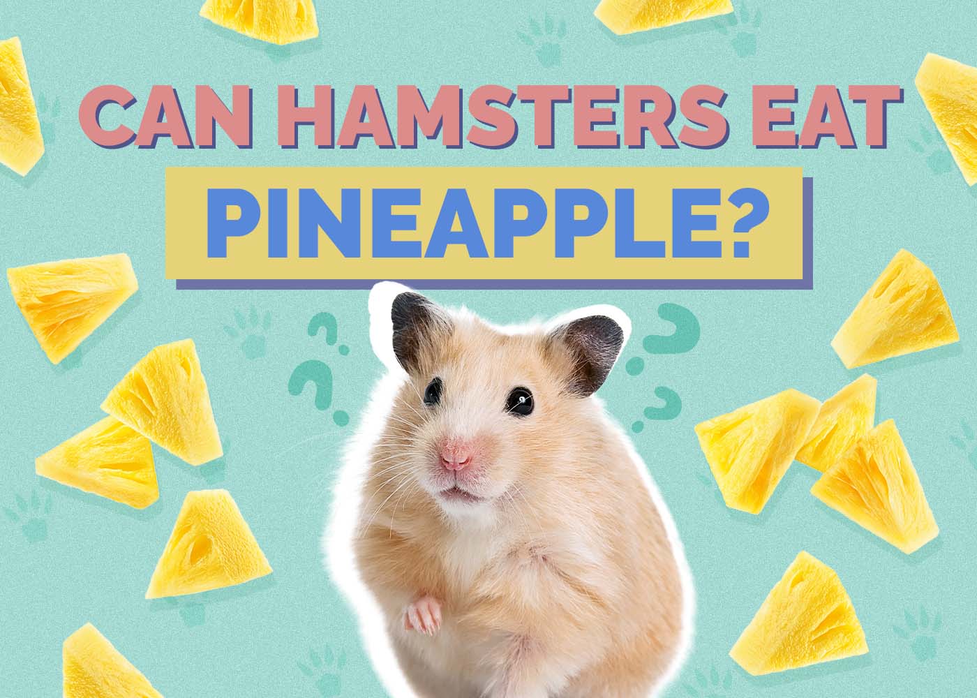 Hepper_Can Hamster Eat_Pineapples