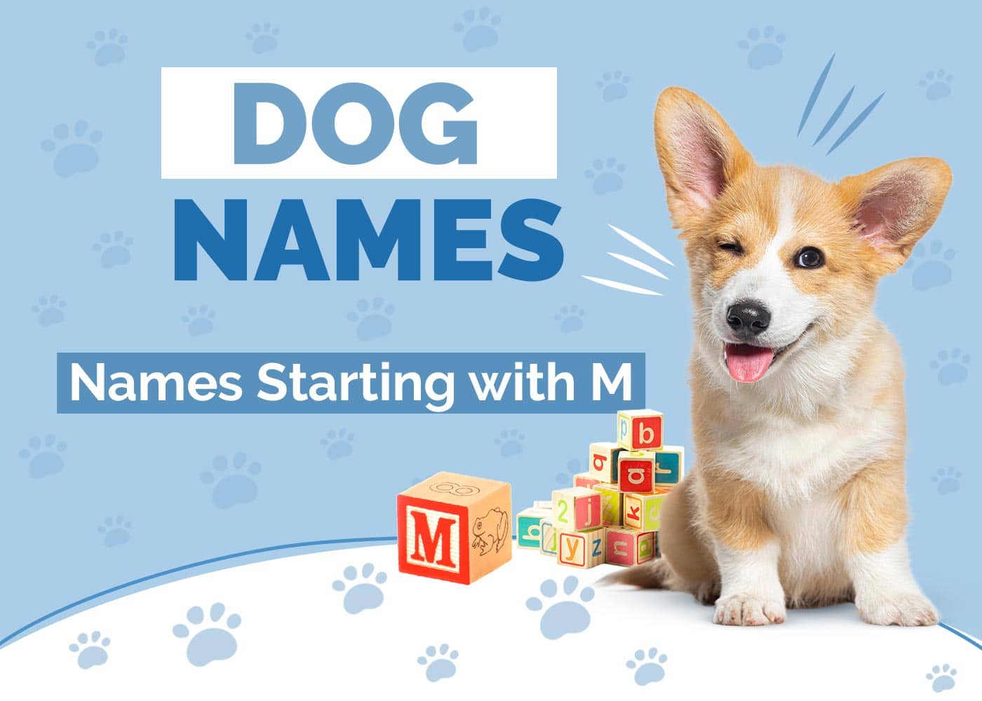 Adorable Dog Names Starting with M for Your Pup