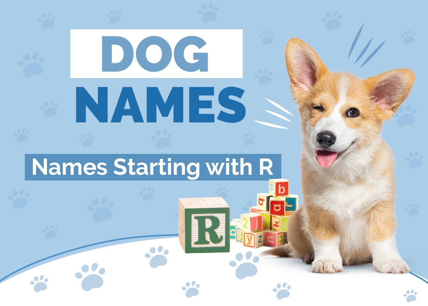 Dog Names Starting With R: Radical and Resplendent Options
