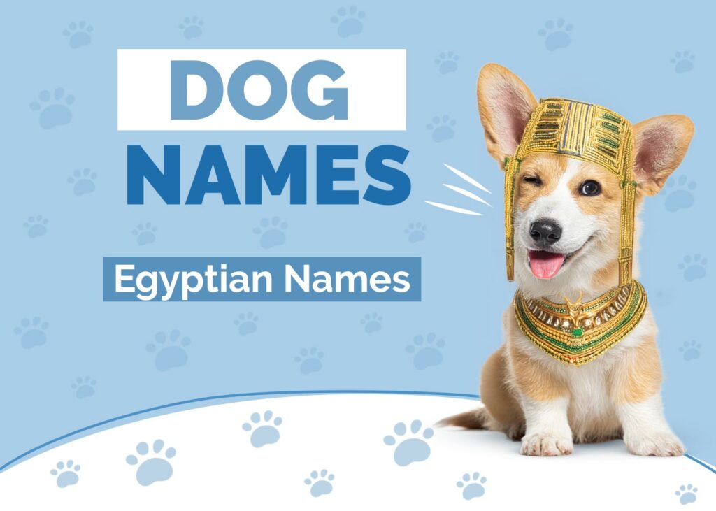 Egyptian Dog Names