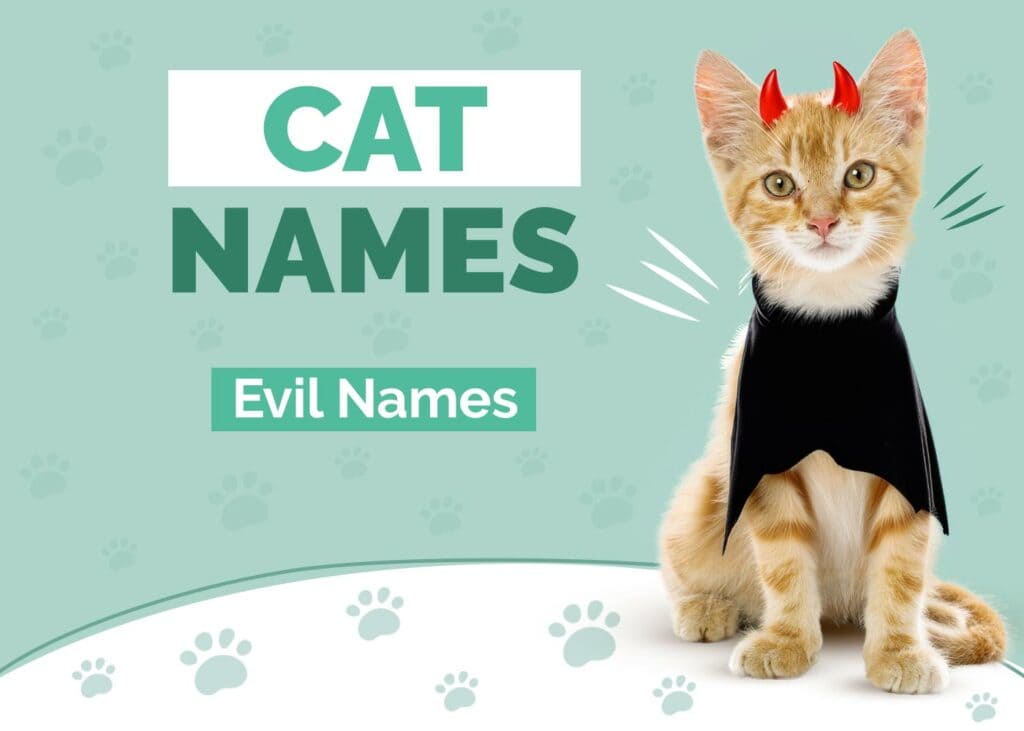 Evil Cat Names