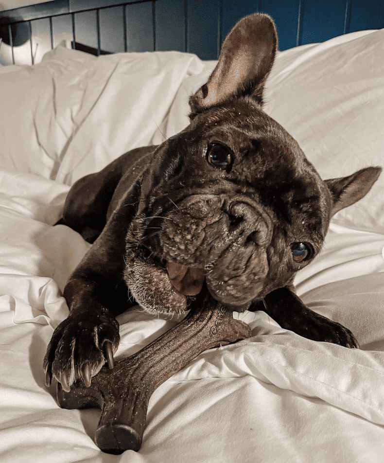 High Country Motor Lodge - Flagstaff Hotel_mont.and.mills