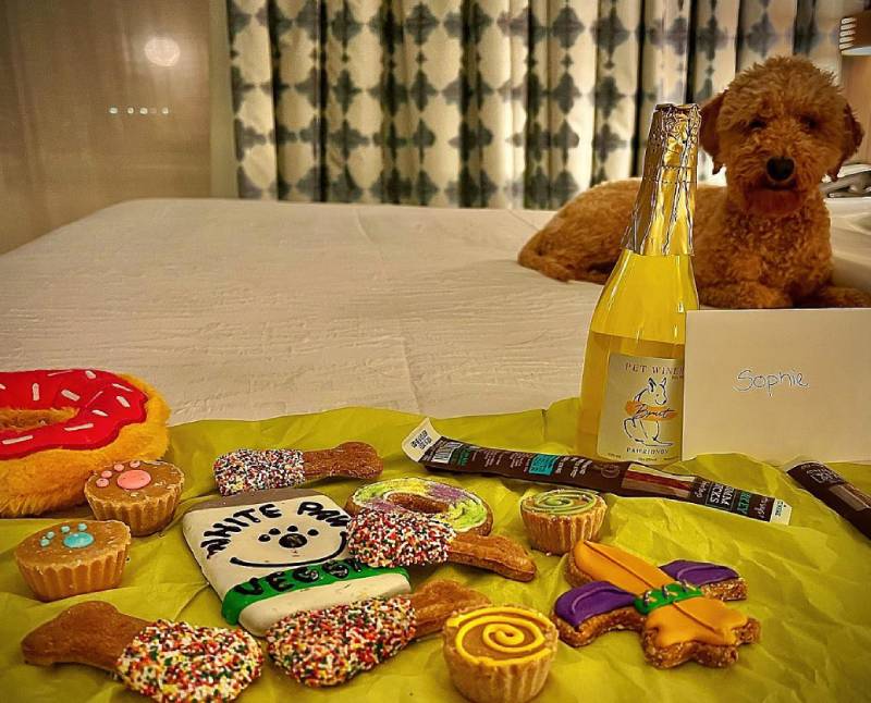 Hilton Garden Inn New Orleans French Quarter