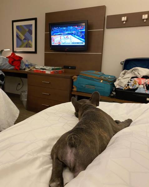 Holiday Inn Express Hotel & Suites