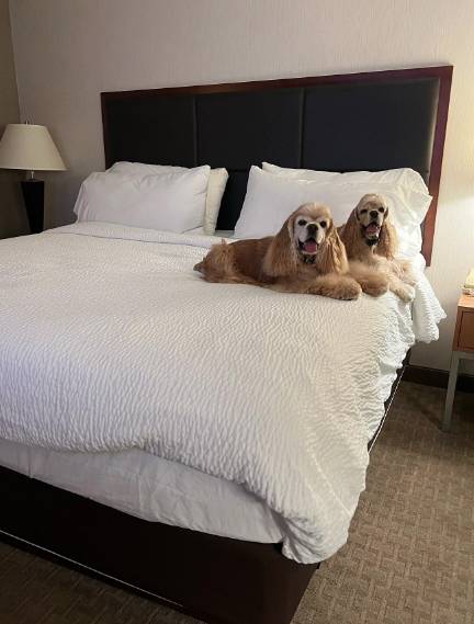 Holiday Inn Fort Myers – Downtown Area