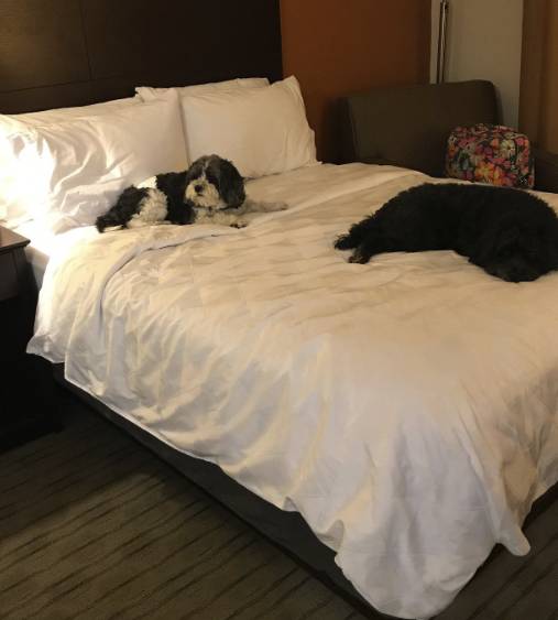 Holiday Inn Knoxville West Cedar Bluff Rd.