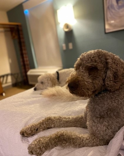 Home2 Suites by Hilton Fayetteville