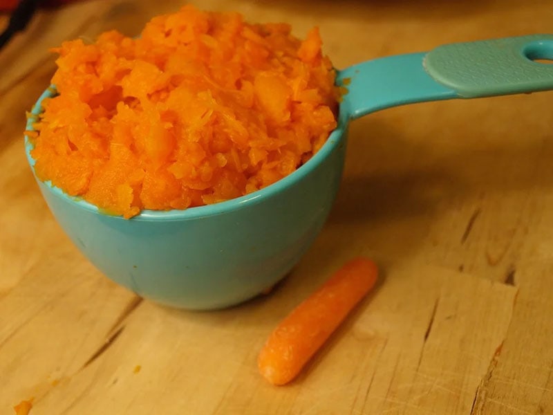 Homemade Carrot Hamster Treats