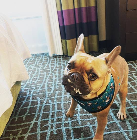 Homewood Suites by Hilton Fort Myers Airport_FGCU