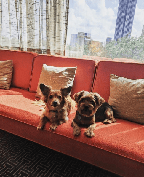 Hotel Derek