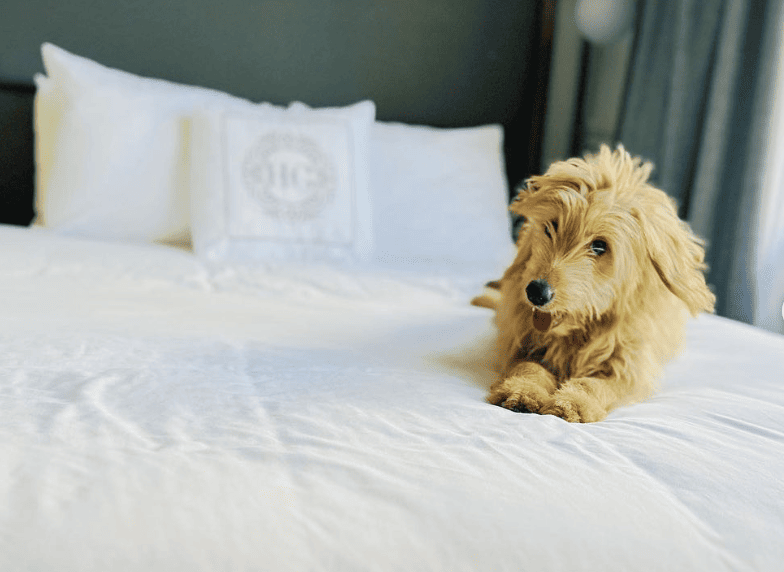 Hotel Gibbs Downtown Riverwalk_2cute_syd