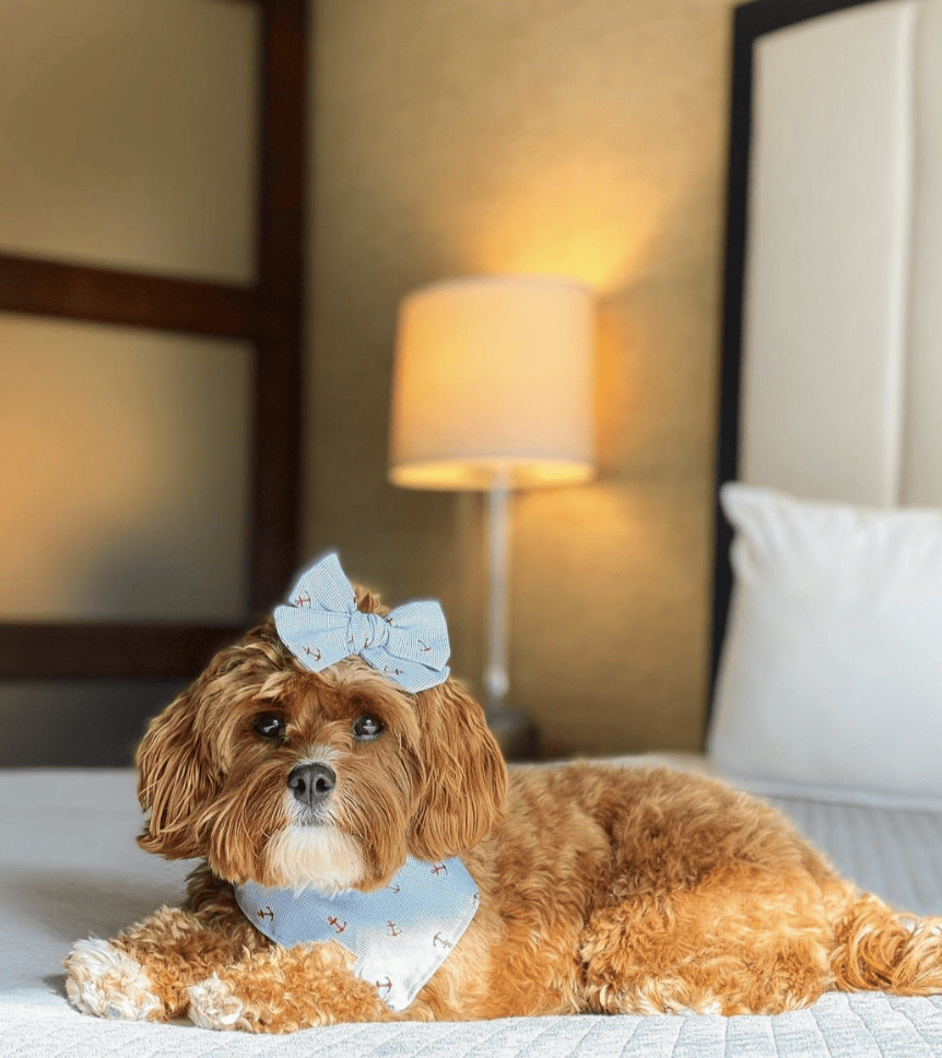 Hotel Indigo San Diego-Gaslamp Quarter, an IHG Hotel_hotelindigosd