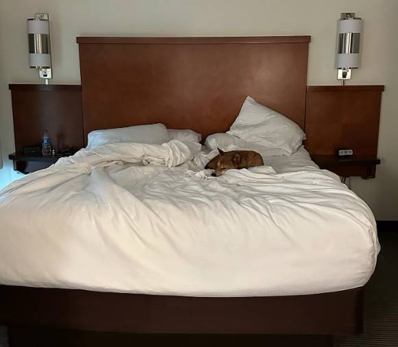 Hyatt Place Fort Myers_At The Forum