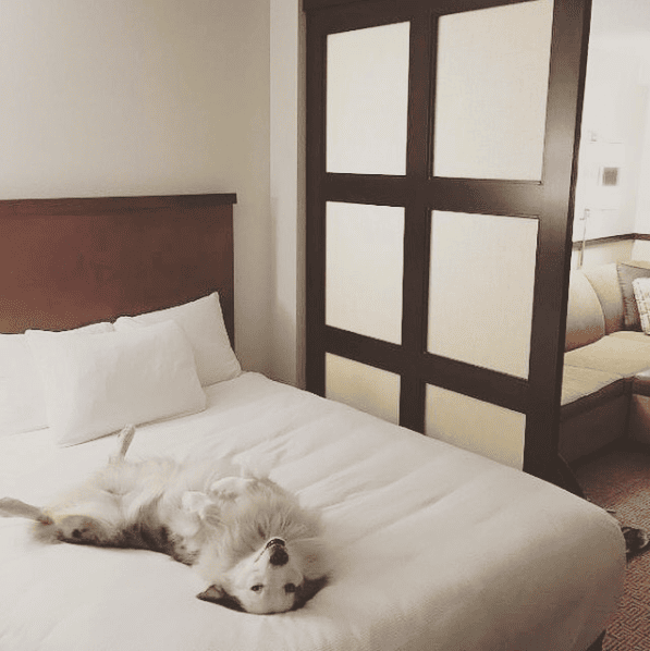 Hyatt Place Houston-North
