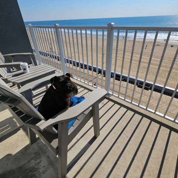 Hyatt Place Ocean City / Oceanfront