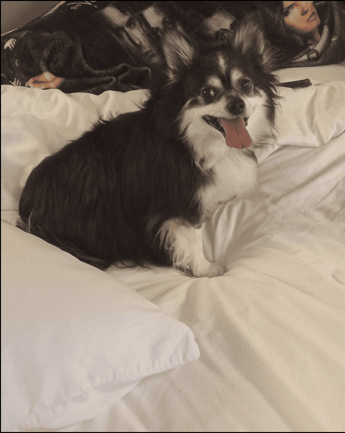 Kelly Inn Billings_beverly.cameron.79