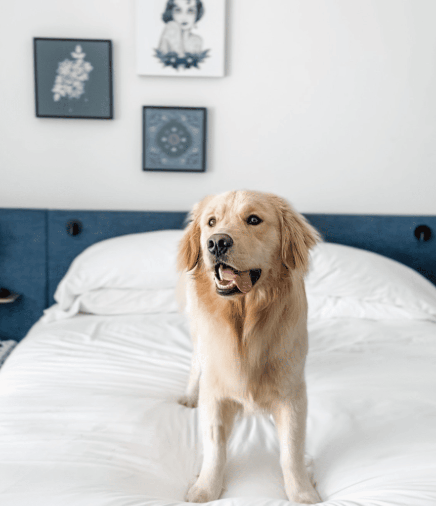 Kimpton Alma_stay.alma