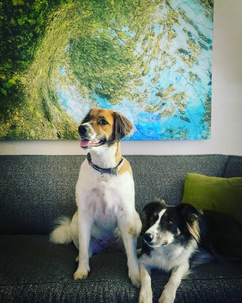 Kimpton Hotel Palomar