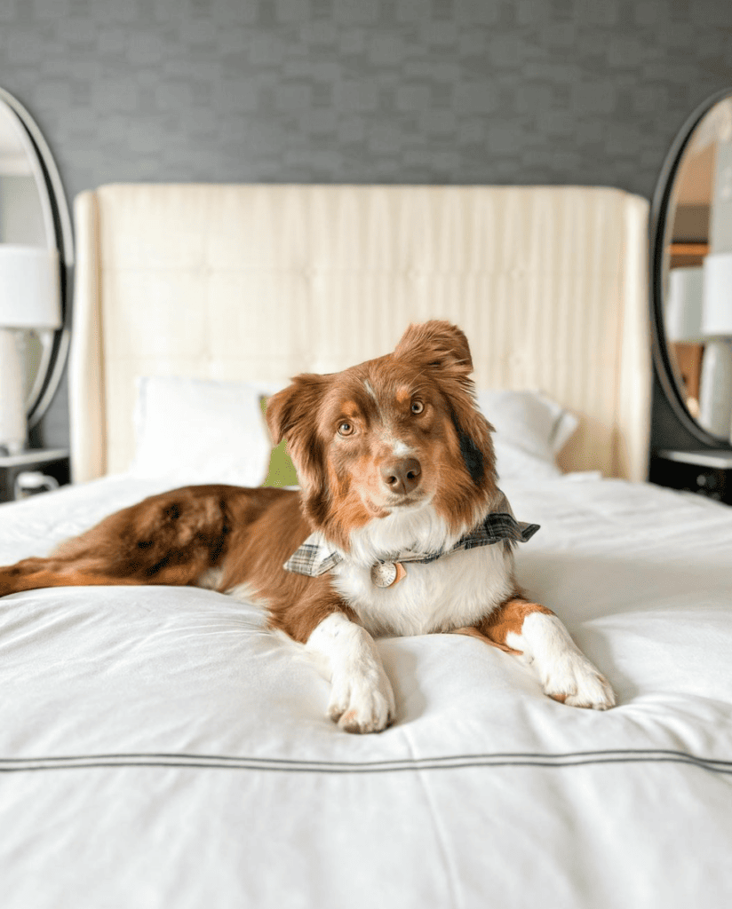 Kimpton Tryon Park Hotel