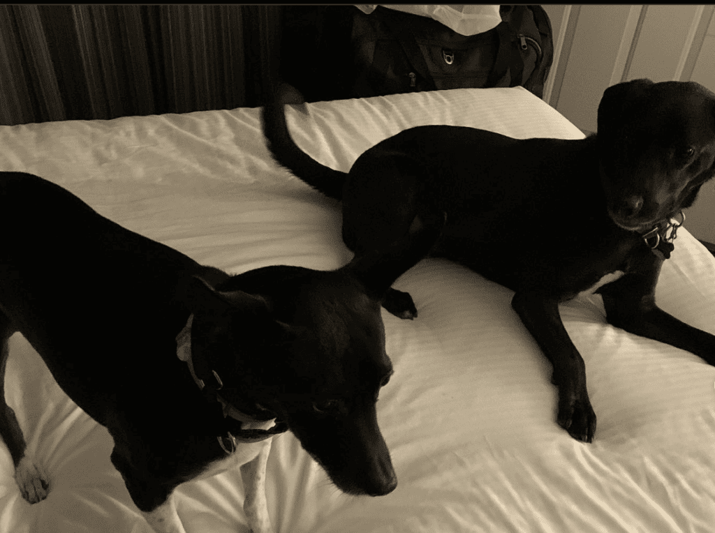 La Quinta Inn & Suites by Wyndham Flagstaff_jorkeohane