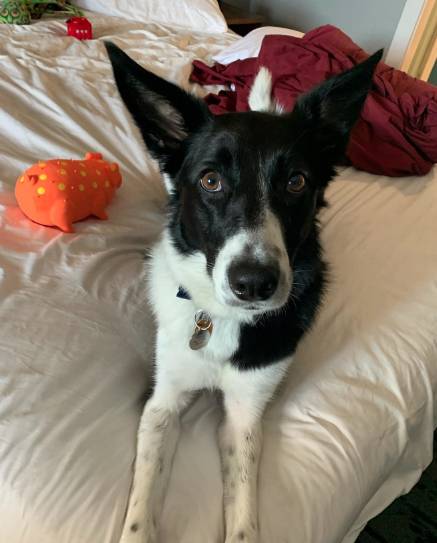 La Quinta Inn & Suites by Wyndham Ft. Myers – Sanibel Gateway