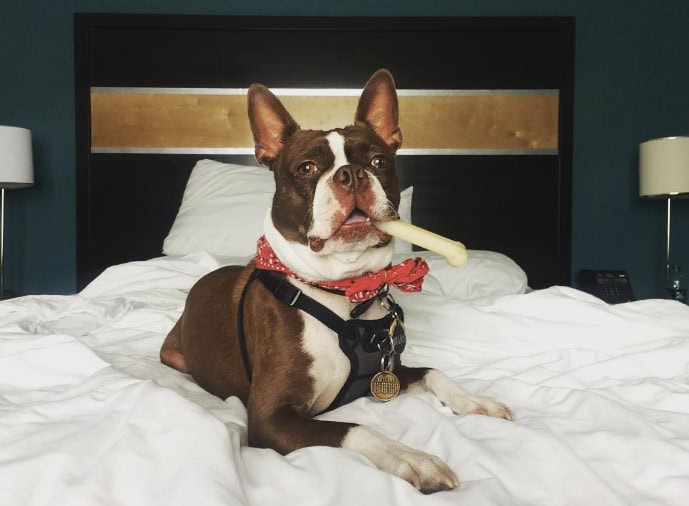 La Quinta Inn & Suites by Wyndham San Diego Mission Bay_marsthemartianman