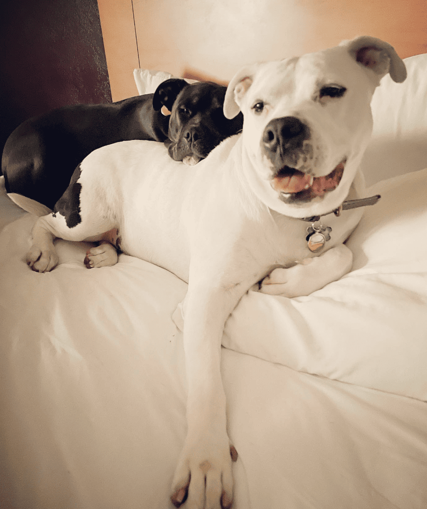 La Quinta Inn & Suites by Wyndham Tucumcari_coltrane.and.evora