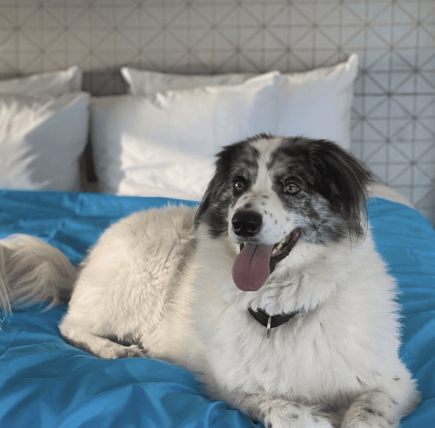 Manchester Grand Hyatt San Diego_grandhyattsandiego