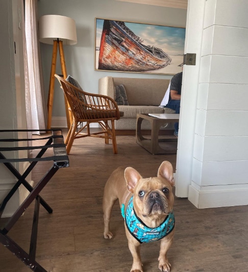Margaritaville Beach House