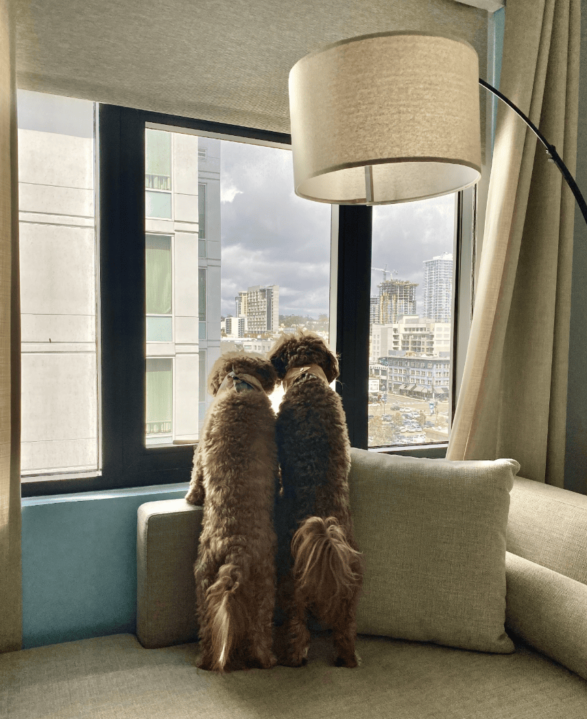 Margaritaville Hotel San Diego Gaslamp Quarter_margaritavillehotelsandiego