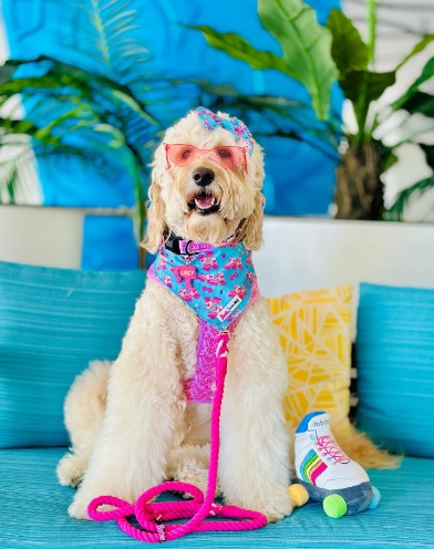 Margaritaville Resort