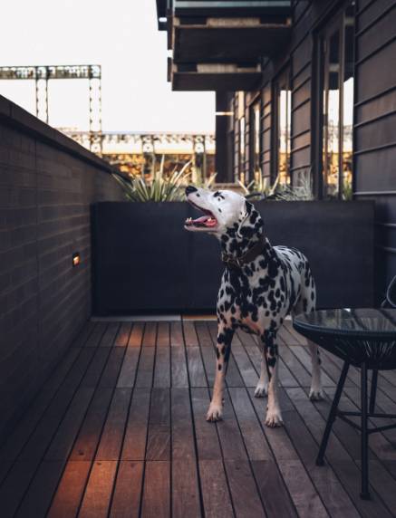 Maven Hotel - Dairy Block