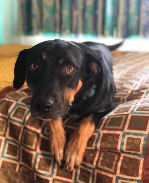 Morro Bay Sandpiper Inn