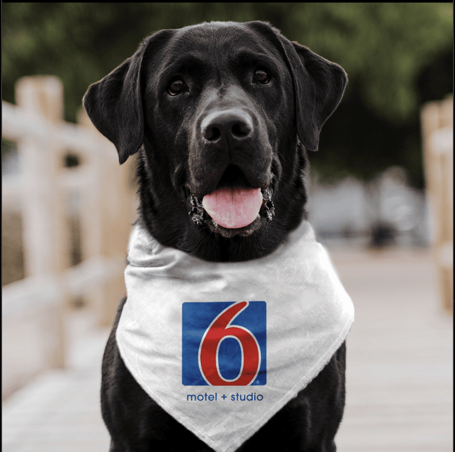 Motel 6 Tucumcari_motel6